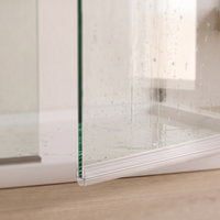 Douchestrip D profiel, 2 × 100 cm, voor glas 6 tot 8 mm