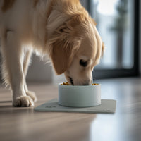 Dog Bowl with Quick-Dry Diatomite Stone Placemat
