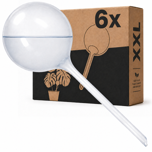 Globetti per innaffiatura - 700 ML - Confezione da 6