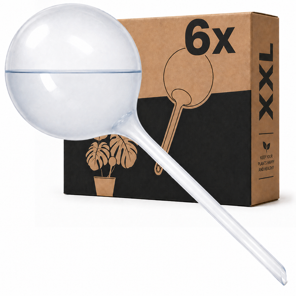 Globetti per innaffiatura - 700 ML - Confezione da 6