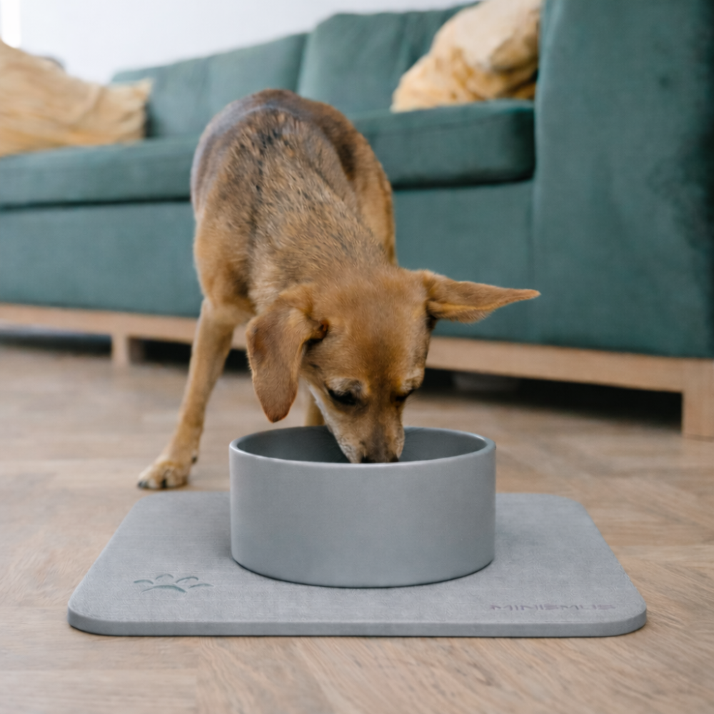 Bol pour chien avec tapis en diatomite à séchage rapide