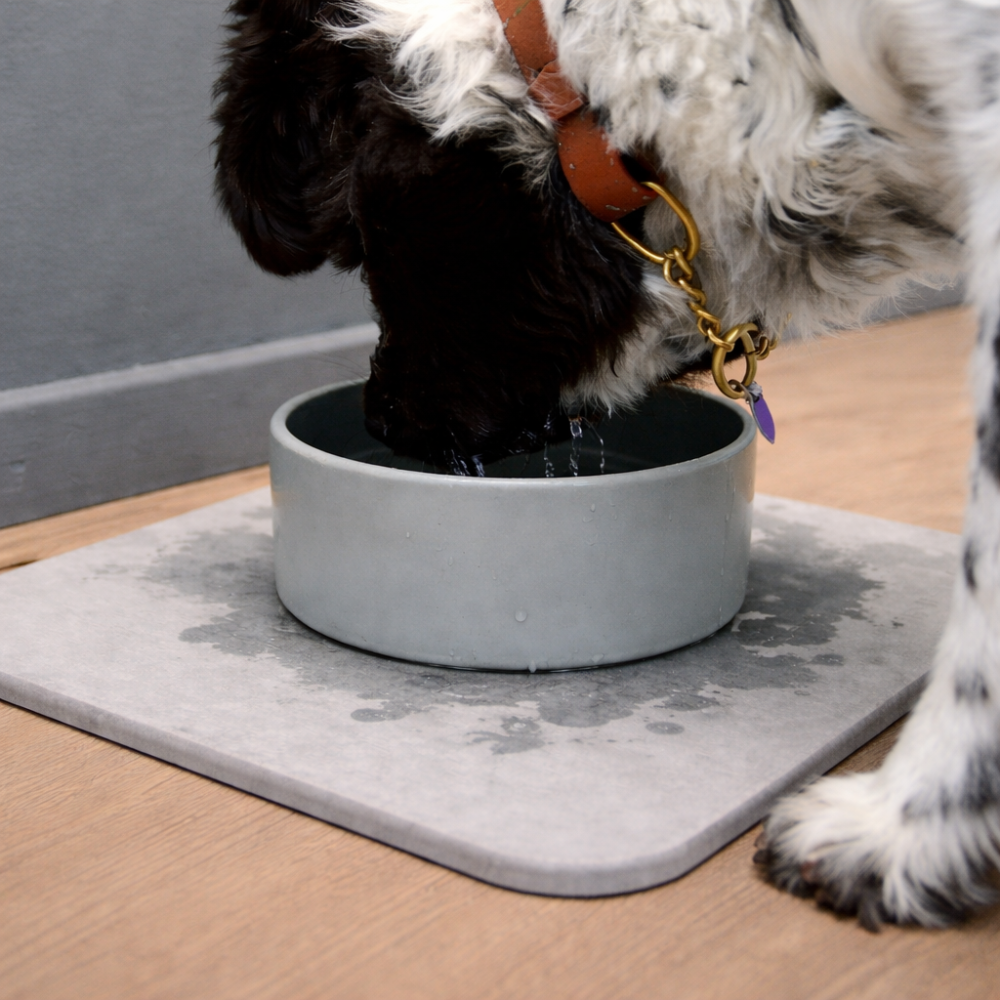 Bol pour chien avec tapis en diatomite à séchage rapide