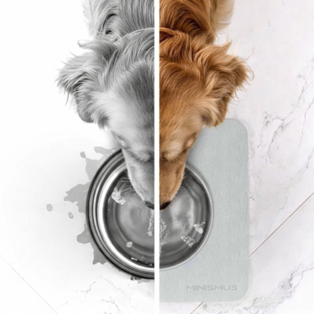 Bol pour chien avec tapis en diatomite à séchage rapide