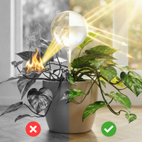 Extra Grote Automatische waterdruppelaar voor planten — set van 12 stuks