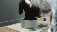 Dog Bowl with Quick-Dry Diatomite Stone Placemat
